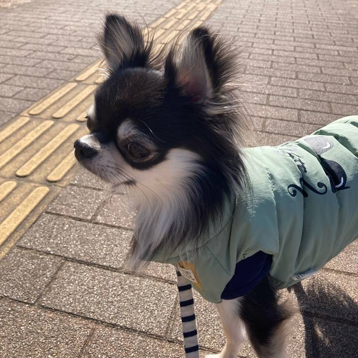 De58a006 3980 45ad 8ea2 03c6dd1e1c9e 1613795035214