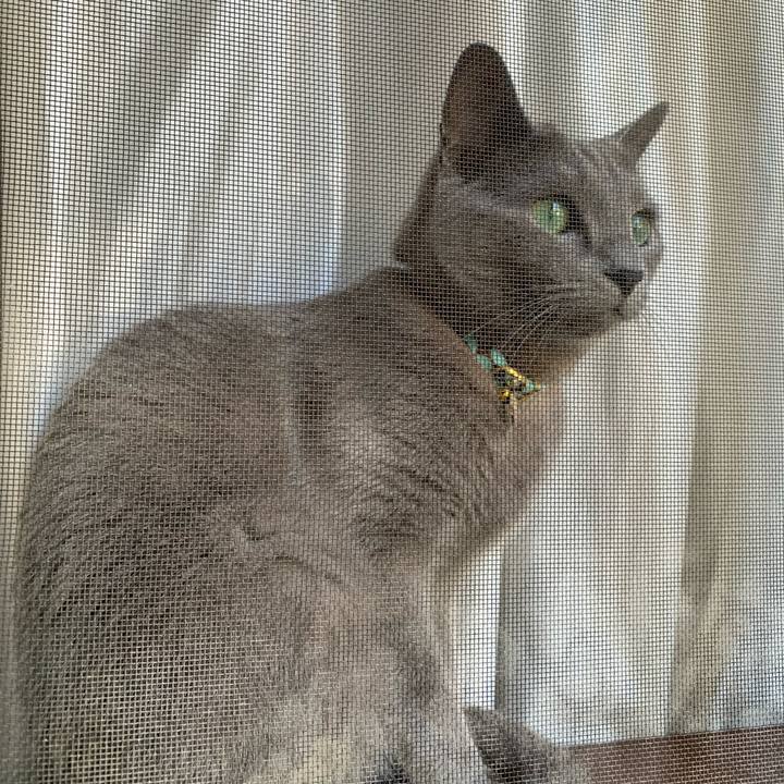 De58b812 aab3 470c ac7a df765f136a87 1650586026671