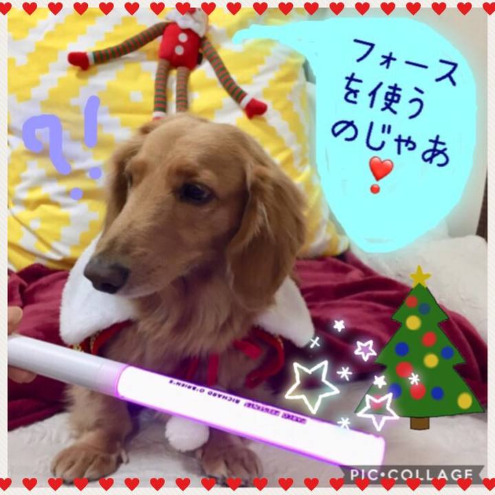 De58c438 bb4a 4956 a4db baa06b3b9829 1513394033265