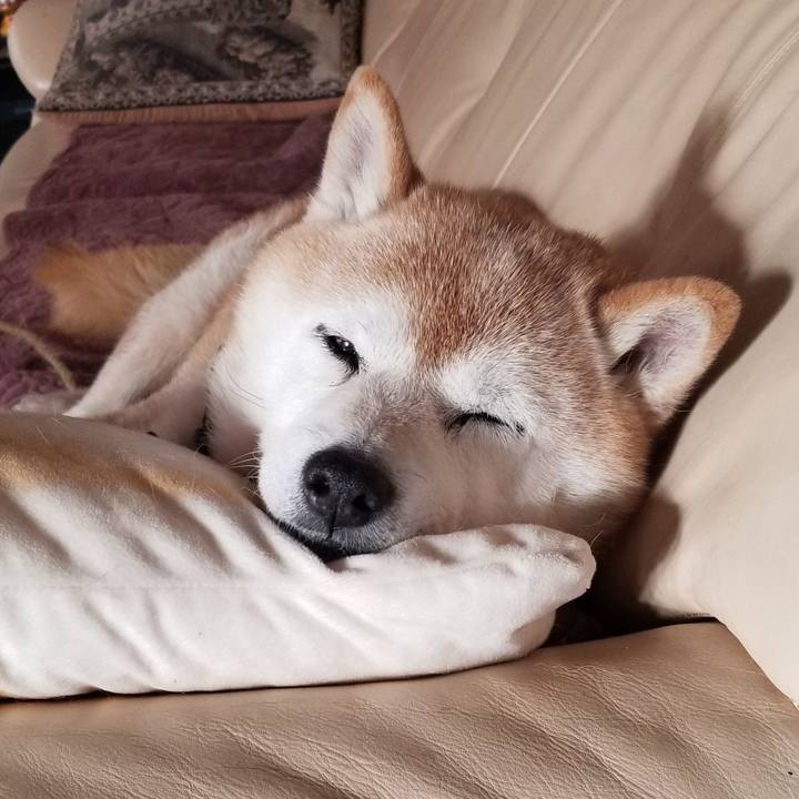 De58def8 f978 40b4 80b1 a7b086c3726a 1706660945854