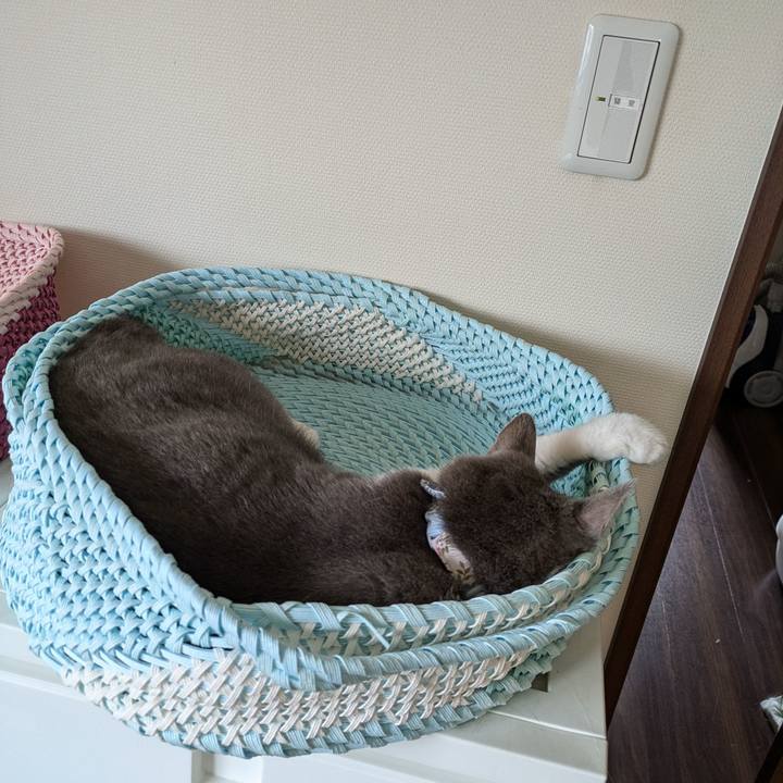 De58ff5e 803e 44a9 a451 99475fb062a1 1727141220841