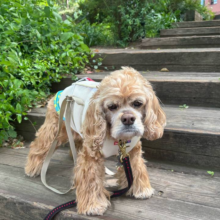 De592943 5c1d 45a2 8855 9a5113535148 1776775900370