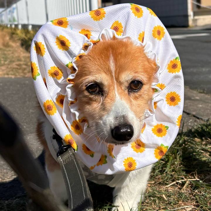 De5937c0 8a87 4c14 aa8d 20df5ae771e2 1771470348323