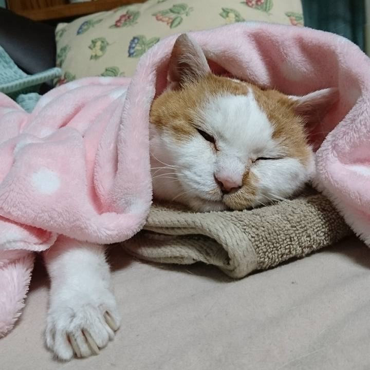 De59394e 5145 4735 a988 e5d317e77fec 1535194180181