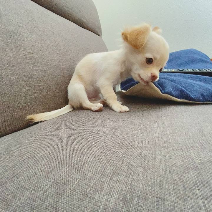 De595490 509d 4ff0 a518 e11706c547a1 1591326427546