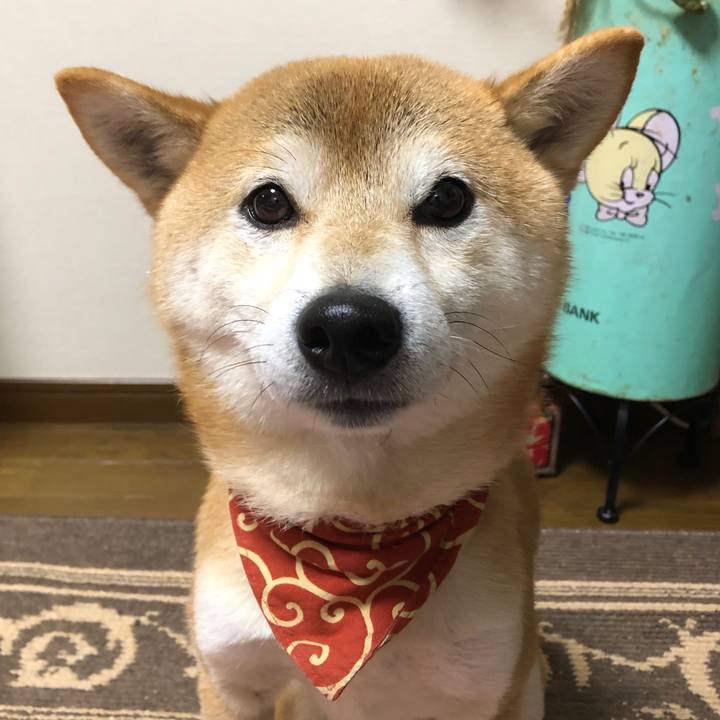 De597b8d f3ed 4fe5 92d9 c9ce9dfbeede 1542971026843