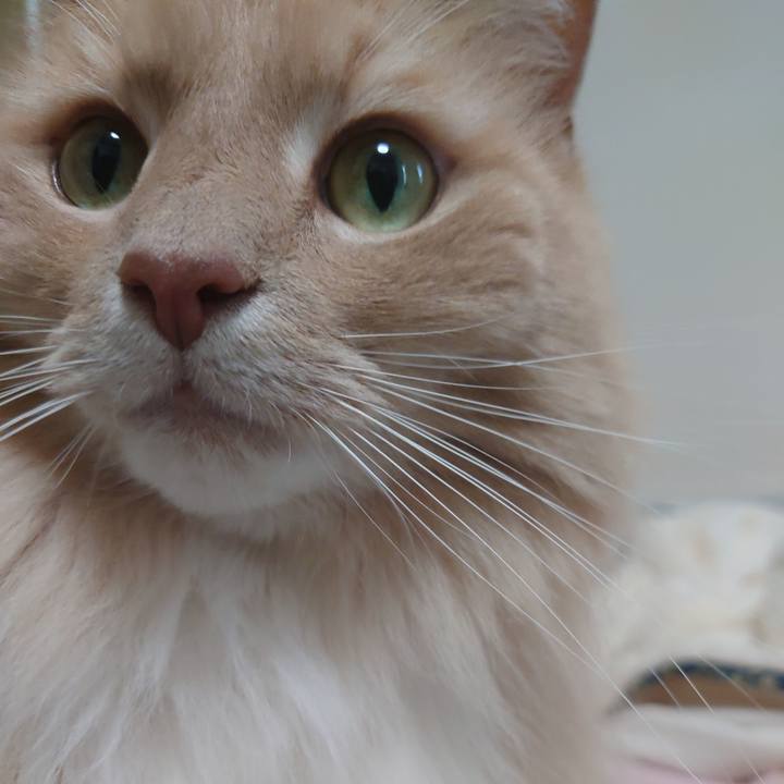 De59a896 2933 4862 b9ec 0afe23cf89ff 1641794845723