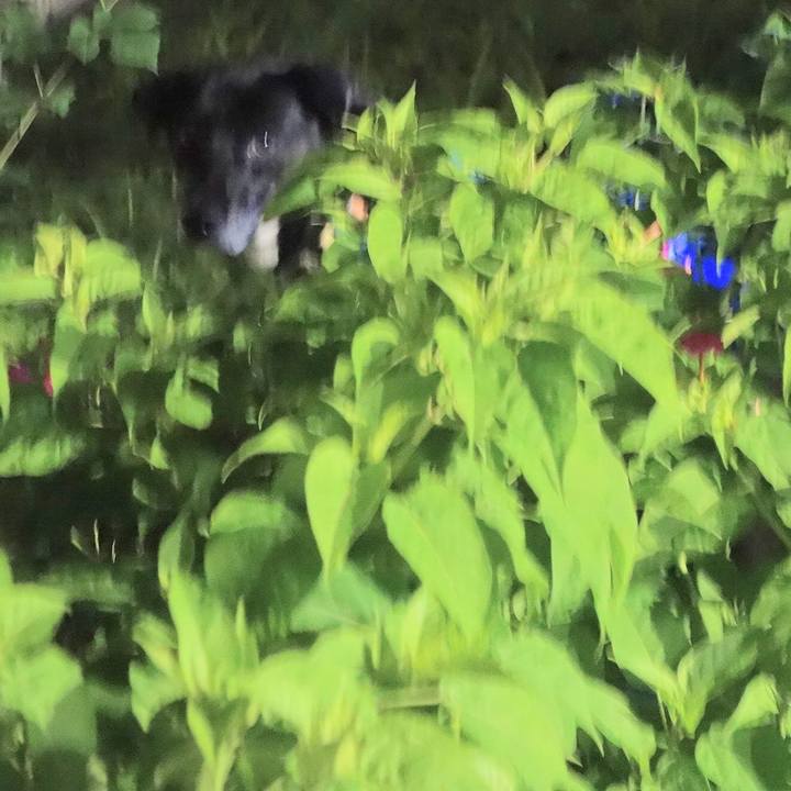 De59adec 7a76 4b85 8c8a 22640b2366c7 1696761108637