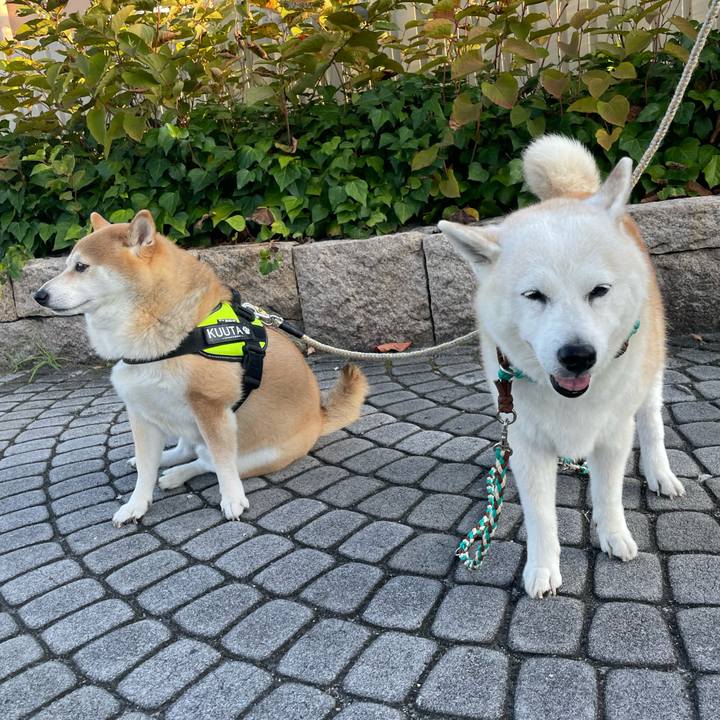 De59c6d0 2c26 4bba bf48 f42ac55b4914 1663320685123