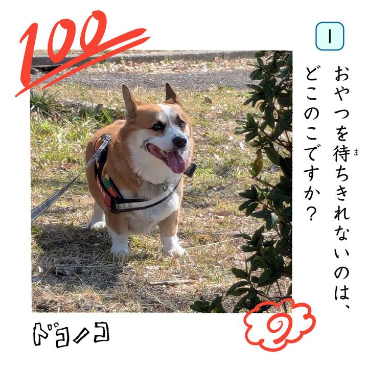 De59cc73 d0f9 4786 9a19 1ae318e48b44 1744698520894