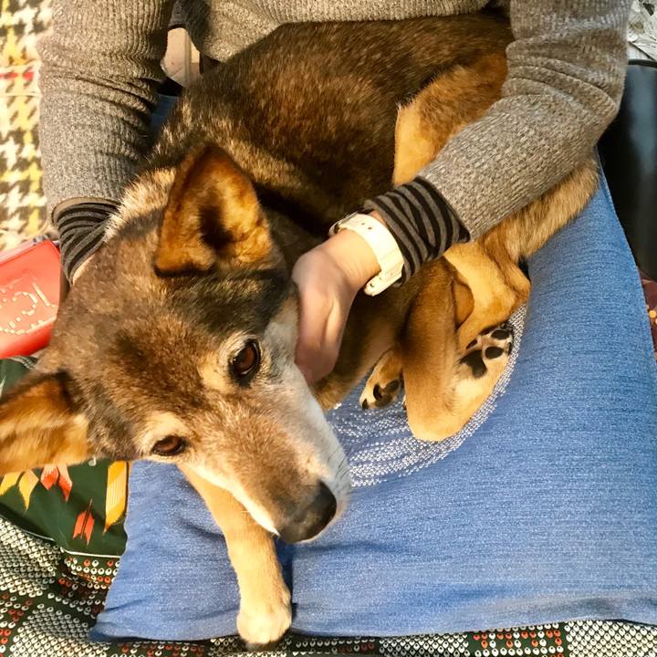 De59ea3b ad8a 4d5c a38a 41e47868b294 1518857564823