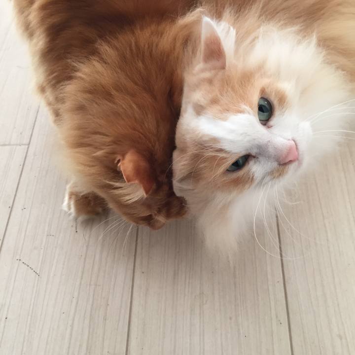 De59f8e9 7617 43db b326 44bb85c6b3bc 1555791409792