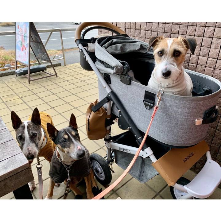 De5a15bf 9019 4c8a 9799 e6a0b70131d3 1615122914384