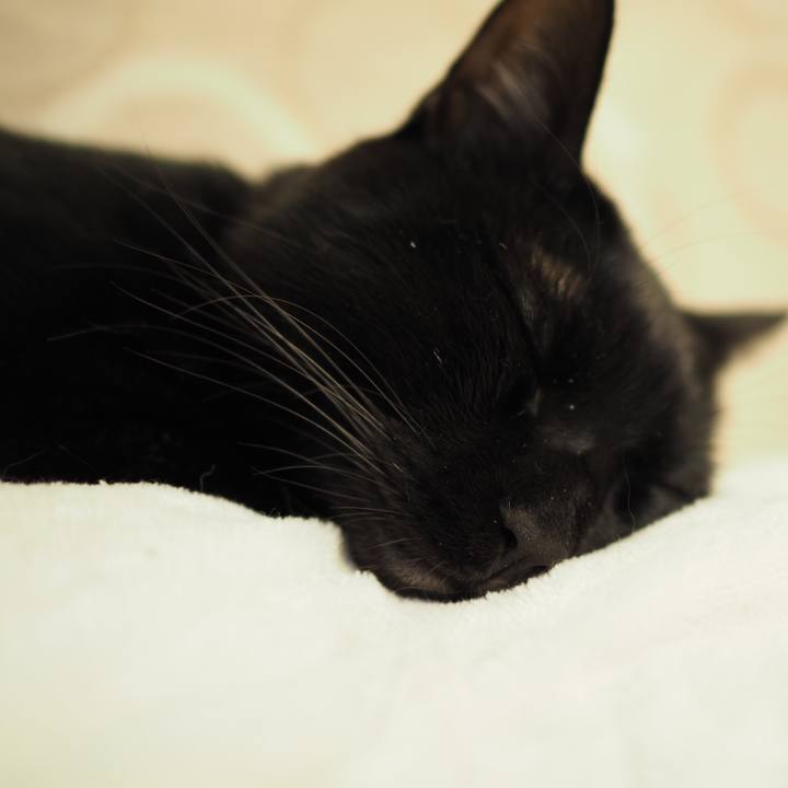 De5a2942 7237 445b 93bf b70eee4f4935 1549119283254