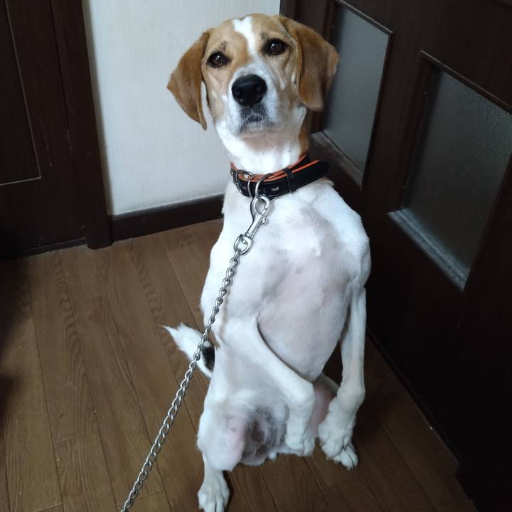 De5a51a6 8fe6 4830 bd59 ce86da3afac1 1627106198294