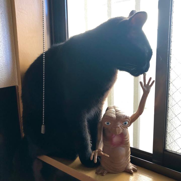 De5aaa5c 4144 42f4 bf36 d34b1222fdd6 1546243809700