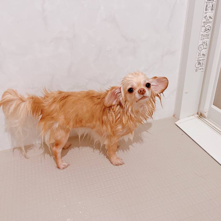 De5ac87b 10d7 4c5b a44c 6b24bd7dd465 1653894354244