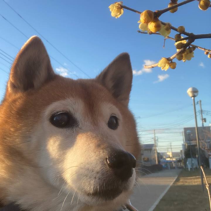 De5ac9b1 36f8 4898 b419 8febb5f48b13 1737878497485