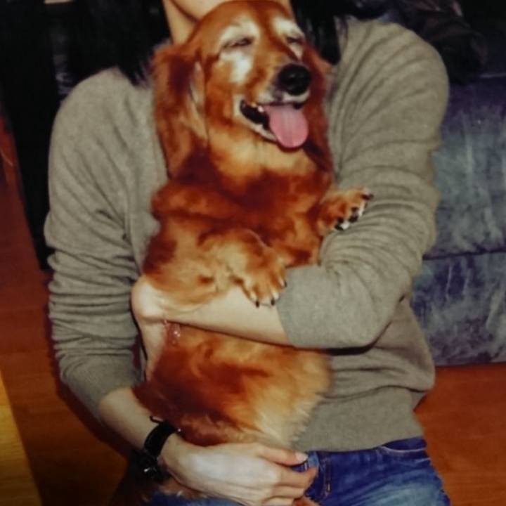 De5acfc2 1834 407e 9ba0 e786cac56076 1772120922655