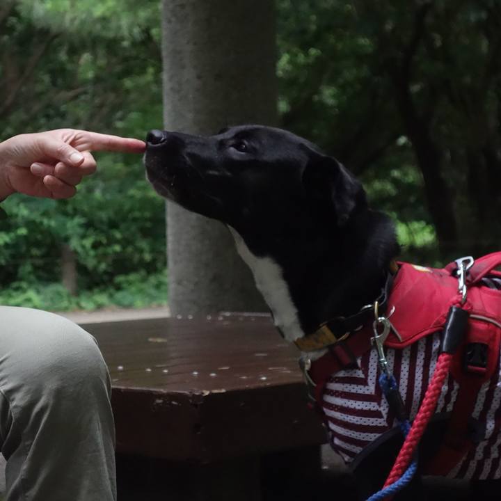 De5b18d5 e37c 4170 aa43 ffd6b1c7b1de 1594549492369