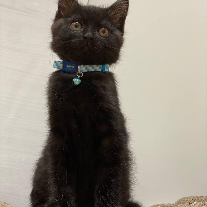 De5b501e 8f77 44a3 8fc8 f4e952a32ed2 1635770250321