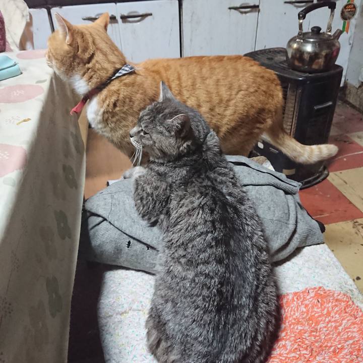 De5b84da 42a9 4537 a777 a10511815cbc 1575114320554