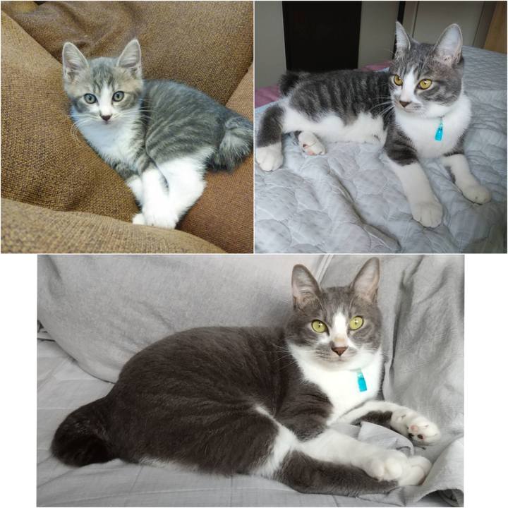 De5b9eb7 dc55 4f35 893b 71e228dd1cf5 1636671168774