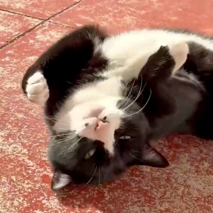 De5ba37e cc82 4d45 8c6b d51f3d29a4e0 1764470027691