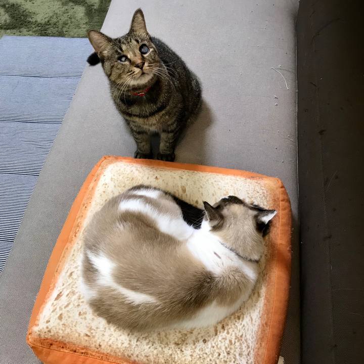 De5bb26a f797 4353 8862 11e01a8a1d18 1603109479330