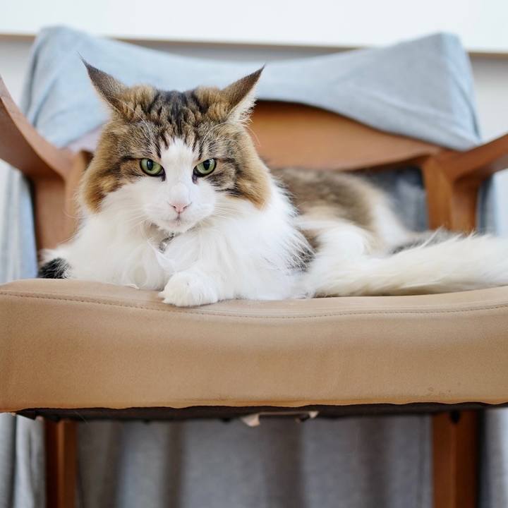 De5bf62d 0b20 46ae 81cf 1a336282bf4b 1697767941620