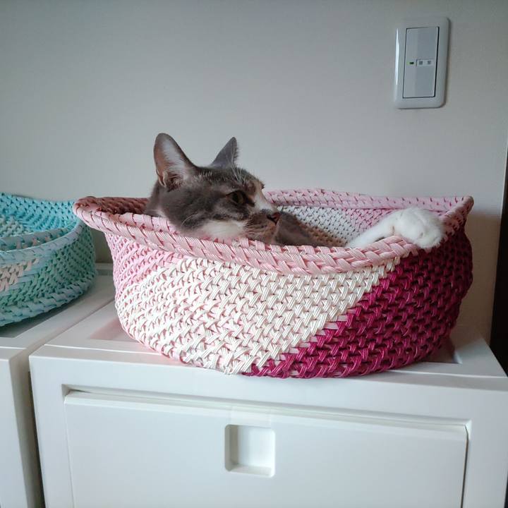 De5c0e71 c71c 4b08 a7da e75c3f50989d 1694471155409