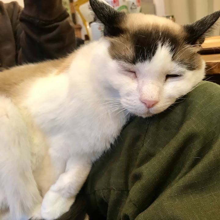 De5c272a aef0 41f4 a24a e8f53c019c79 1588039809023