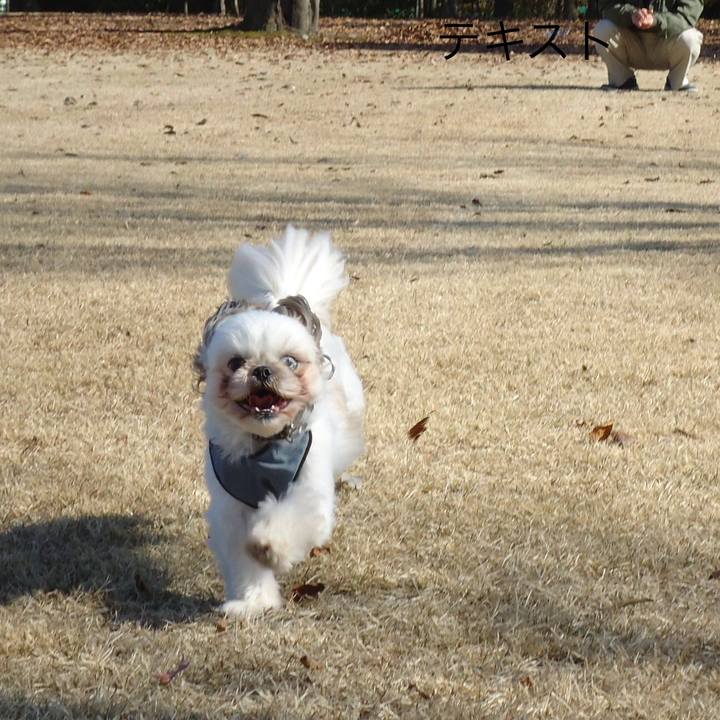 De5c419d 4042 40e6 8ca6 08b83fb85bbd 1523189568137