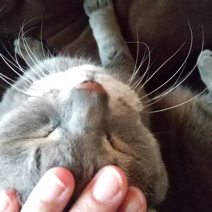 De5c5b85 411f 43ae 9390 d5b6a5b40da9 1618097599707