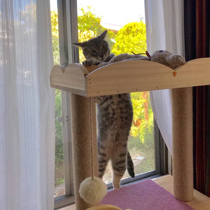 De5dbb2d 3b49 402c a153 4e4423e4bafd 1593690463385