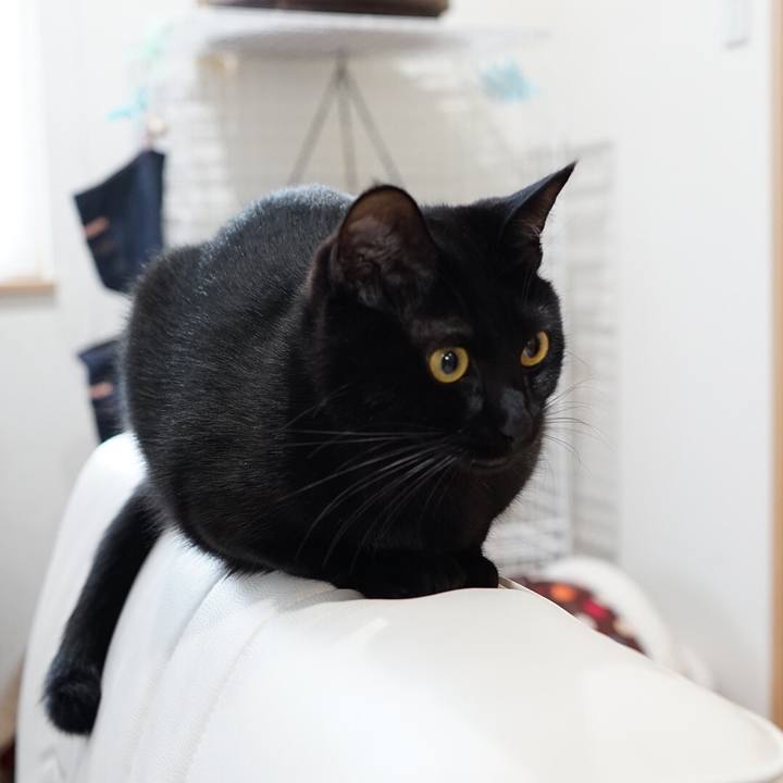 De5dd3d3 6ebd 4e6d 81c1 a1e0cb7ca088 1543448330840