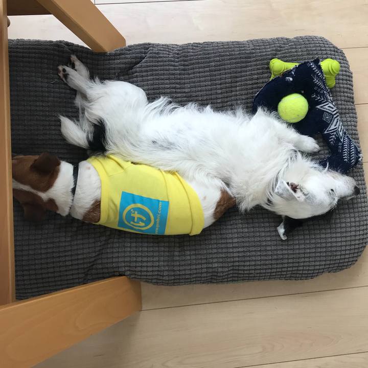 De5ded01 6fb7 4c09 ac65 548ffeb6c842 1524536138329