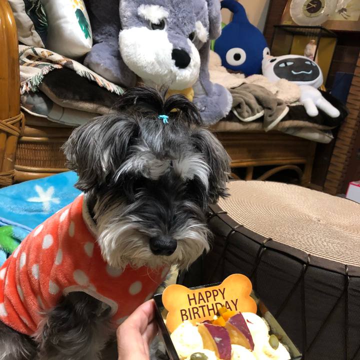 De5df276 a7c3 44e7 b26a da5f38130d3c 1514987350644