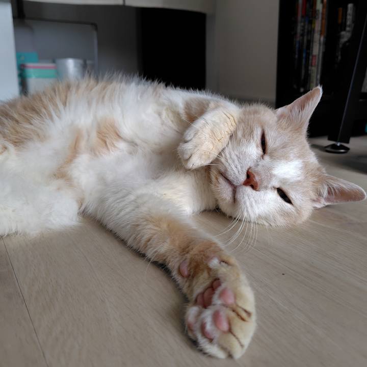 De5e2d75 7ac9 4e0b 94e1 4165960542a9 1720840735247