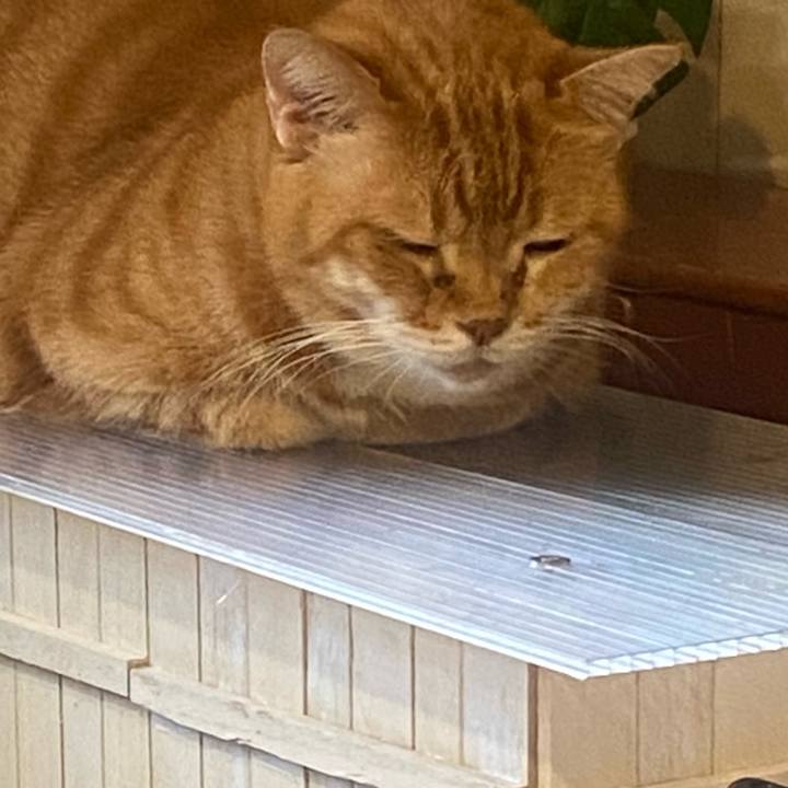 De5e34b8 1b9e 41f7 8c21 3a34ad5df60b 1634428135789