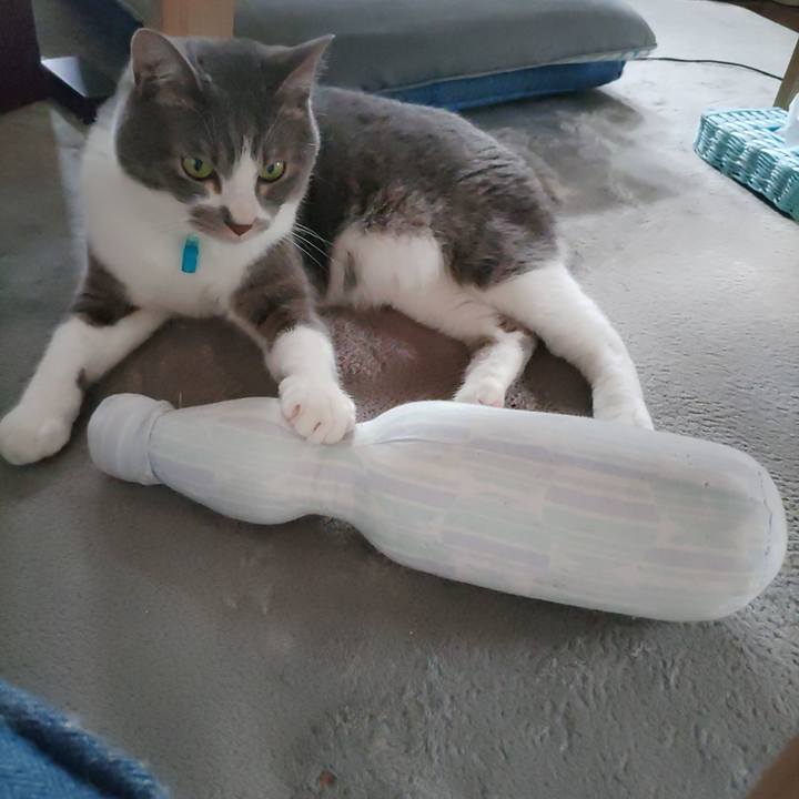 De5e450a 9293 4e06 93fd 36e7f7df7137 1653534817938