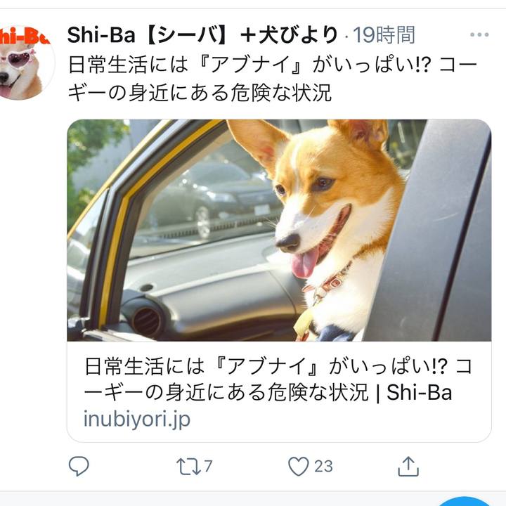 De5e7200 a787 4dc0 8f7f d4d7b90eb9dc 1615470608130
