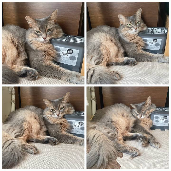 De5ea0d8 33c9 4c69 aa88 008062d645d2 1754223644004