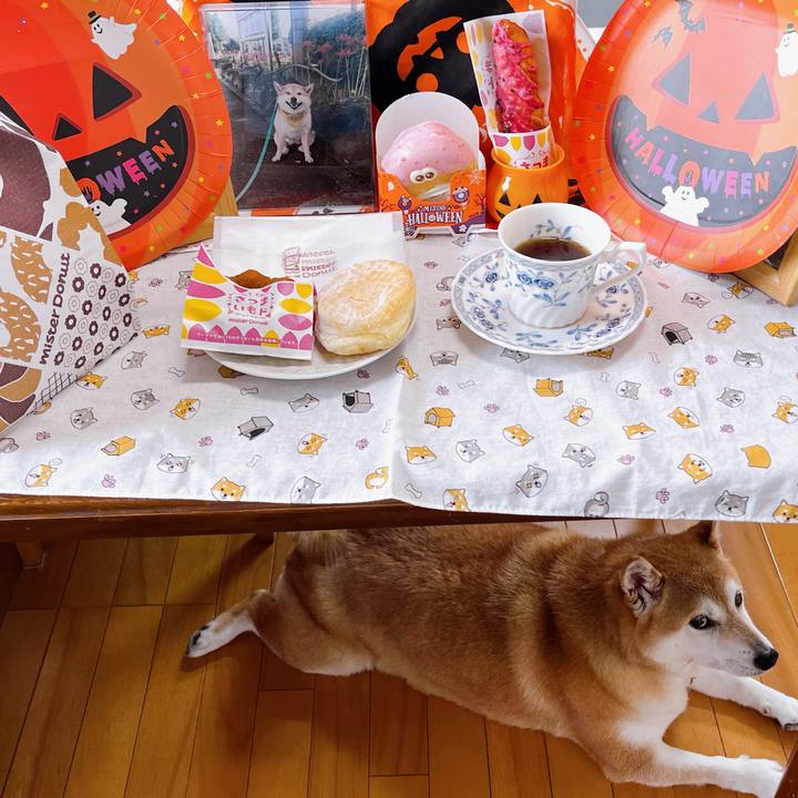 De5eefc7 1bf4 42b5 a97b 7f62079322a6 1696565130095