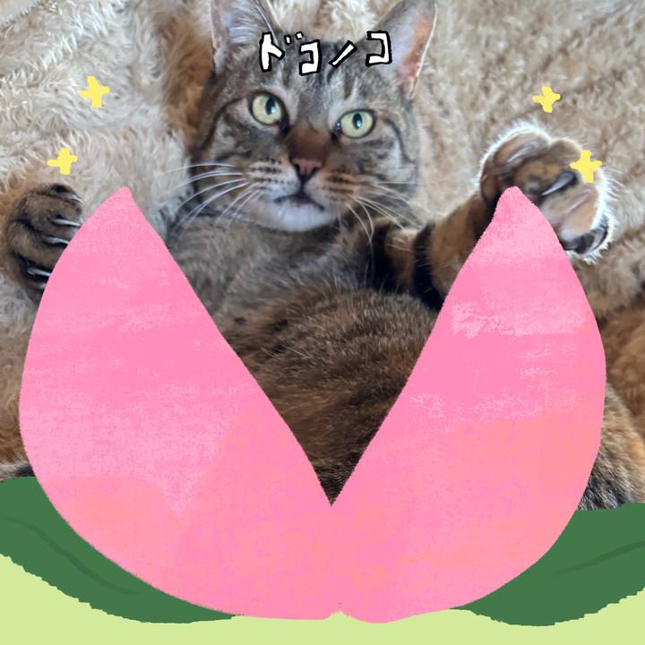 De5efcc8 cf8c 46c8 a8e6 78dc39606d06 1772500859116