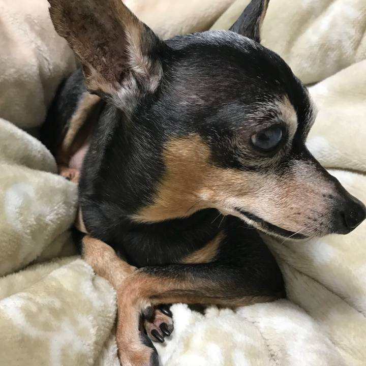 De5f38bb 6e31 4a7f 853a 5eacfe1270c4 1547129273716