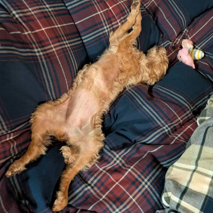 De5f629a 2fa6 44bc ad0d 0d5c72de6b02 1746882642686