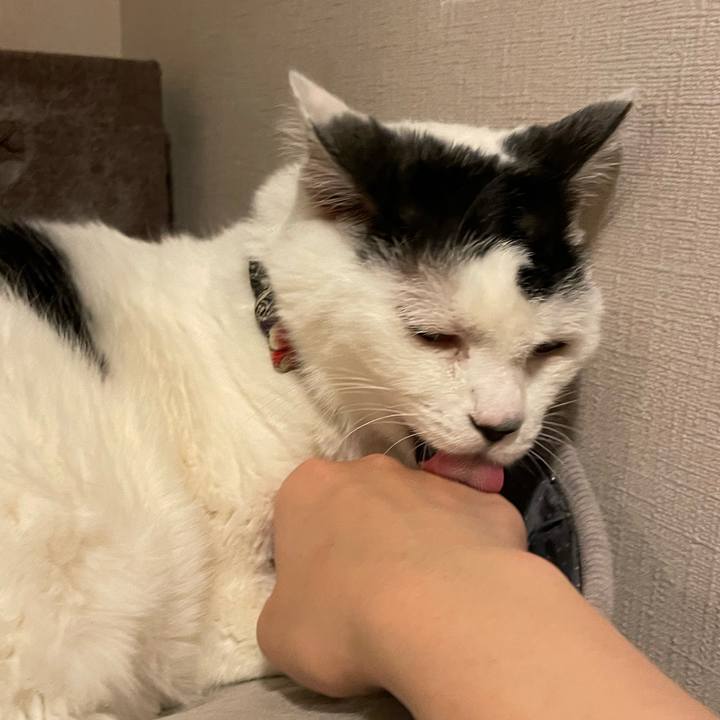 De5f7c6d c30e 44e6 ac2d c673b949360a 1765291302955