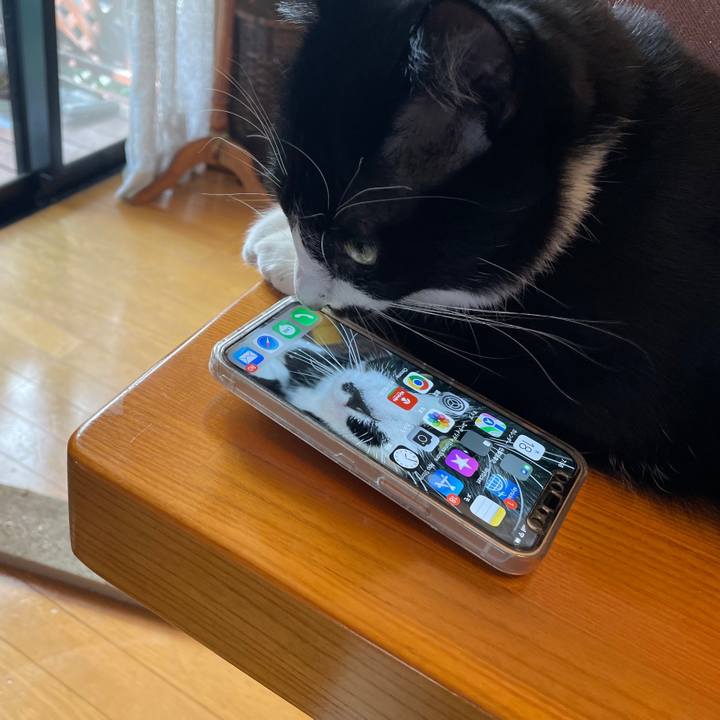 De5f8474 c08d 476a 9c50 5dd1ca2387bb 1652833338199