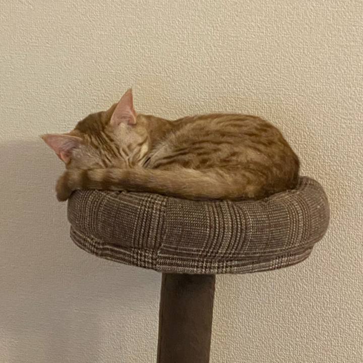 De5fad18 d548 4455 bb7b bcd6caea2fae 1641387527859